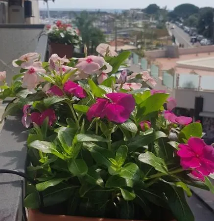 Bed & Breakfast La Costa Di Naxos Giardini Naxos